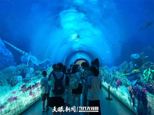 日均接待游客破万人次！贵州省地质博物馆暑期研学游火爆