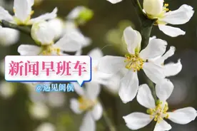 提供3780个学位！这所学校将于9月投用图片