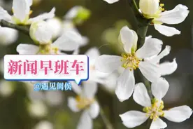 提供3780个学位！这所学校将于9月投用图片
