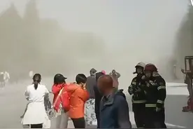 北京花粉浓到光看视频就想打喷嚏图片