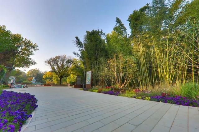 不必扎堆地坛公园！东城区赏秋攻略，一图收藏