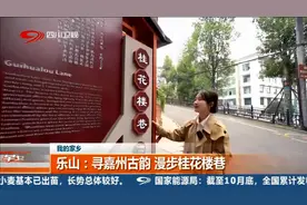 早安四川丨乐山：寻嘉州古韵 漫步桂花楼巷图片