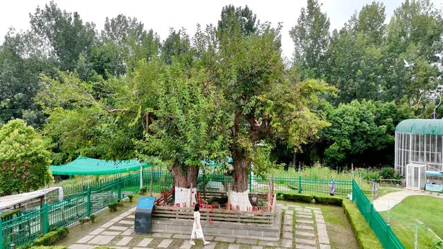 用“考古”的方式打开新都~