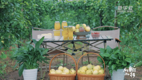 新华社携手董宇辉，走进广西的蔚蓝海岸……