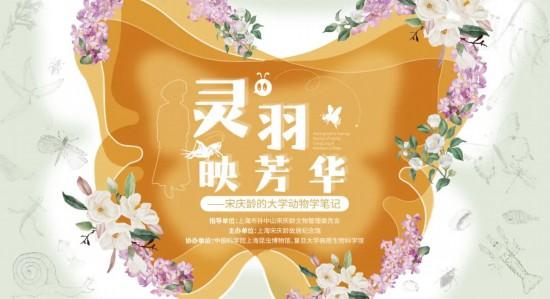沪上博物馆10月观展指南来了 解锁秋日文博时光