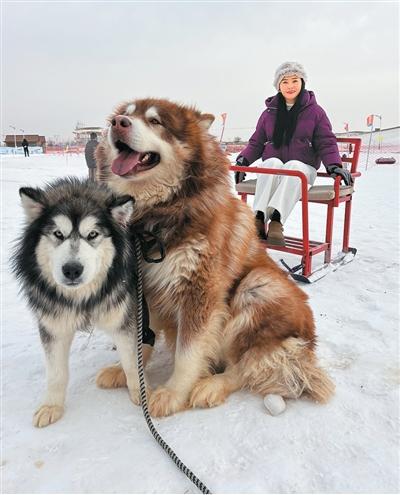 赴冰雪之约 享冬日欢乐