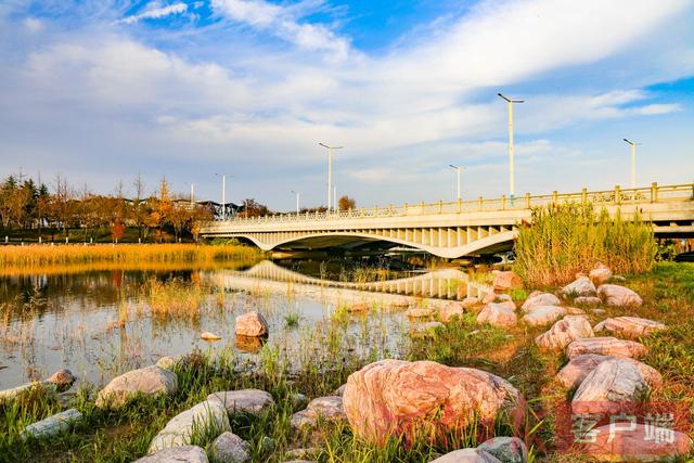 印象港区｜满目金黄，是秋写给冬的告白