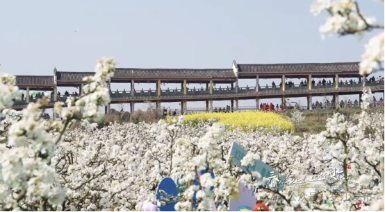 今天起，德阳将有一个新名字！