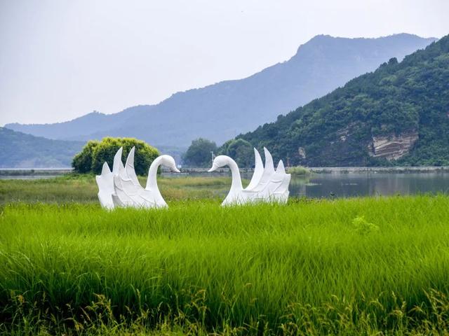 “淡妆浓抹总相宜”，昌平七孔桥花海恢复开园