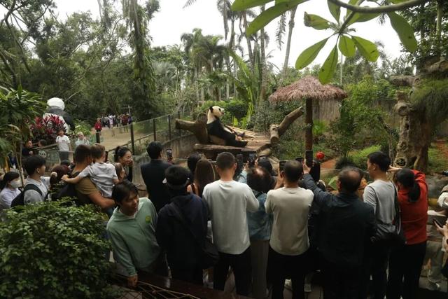 东盟网红漫游海南自贸港采风行：在生态软件园“数”见未来 于定安美食中“醉”享烟火！