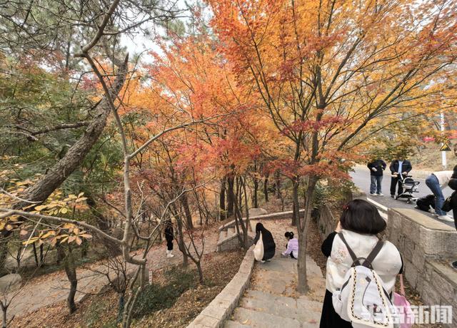 北九水网红路，周末打卡人气高！