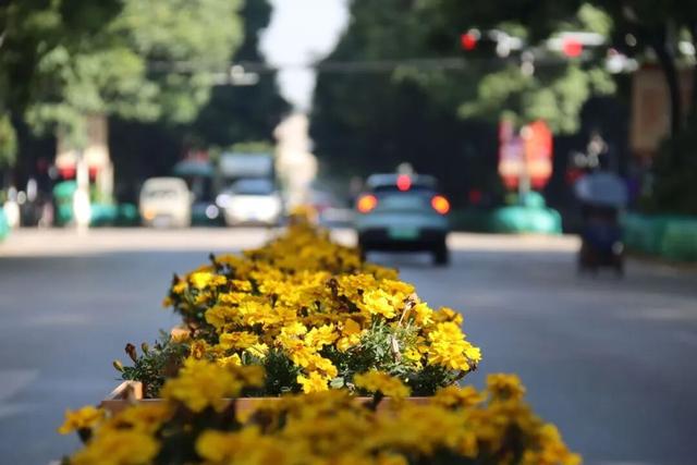 旅居云南·入昆第一站，先去嵩明烤个太阳~