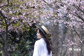 浙江各地花事开启，春天还会远吗？图片