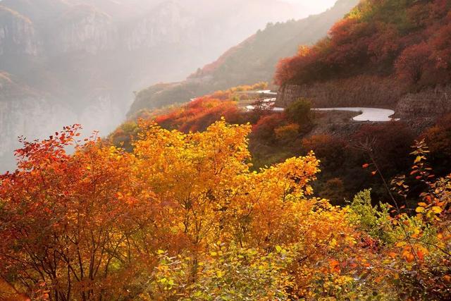 周末天气晴好，徒步去→