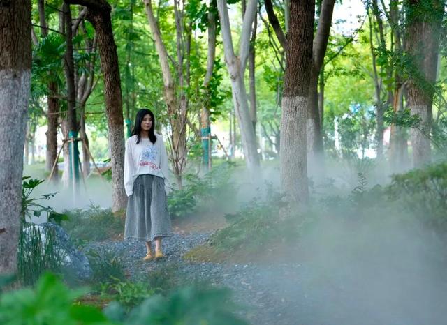 城市密林→童话森林！蜀山这片“雾森绿谷”美出圈