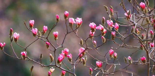 多款“春日良方”上线！来六安，治愈你的“节后综合征”→