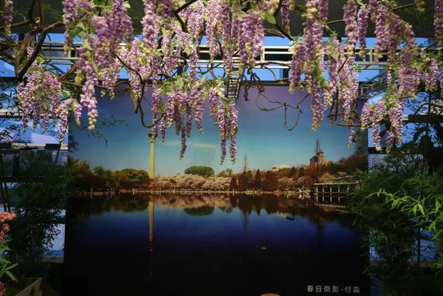 “玉渊花园”主题文化周亮相路县故城遗址公园