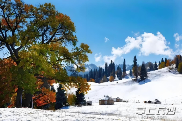 最美秋色旅游专列 新疆南北疆全景19日游，9月长沙出发，4699元起