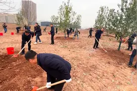 无人机增绿！3月底重庆东站将完成30万平方米土地播种图片