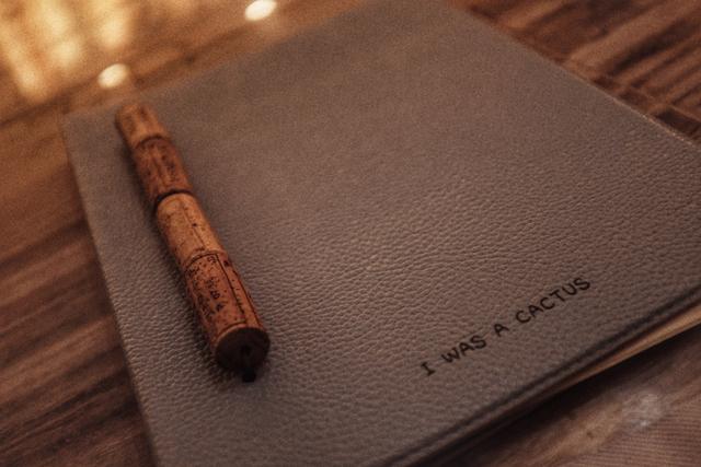 首席体验官｜索尼娃秘密 Soneva Secret，奢华与自然的终极表达