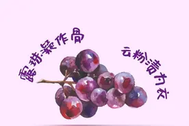 吃葡萄用吐皮儿吗？一文了解葡萄的“奥秘”图片