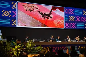 春节申遗成功，专家：把我们珍视的节日与世界共享图片