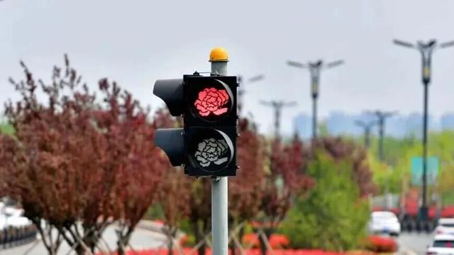 起猛了，我在洛阳被「牡丹」包围了！