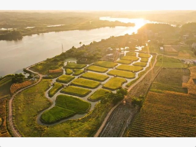 沿着高速去旅行丨循着稻香享受环城高速的风吹麦浪