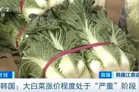 白菜价格飙升韩国再现“泡菜危机”？在韩留学生：最贵时一公斤卖到60多元，逛了几家店都不敢买图片