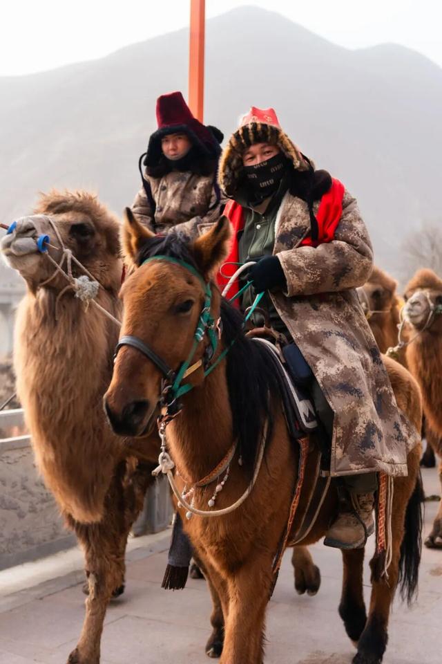 洛阳各界代表赴宁夏固原慰问“东天山来的骆驼队”