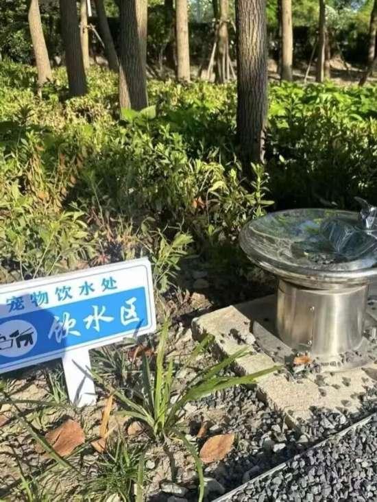 新一批宠物友好公园上线 上海踏秋遛宠增好去处