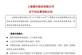 涉25.8亿元借款，宝能、姚振华等被上海银行起诉！图片