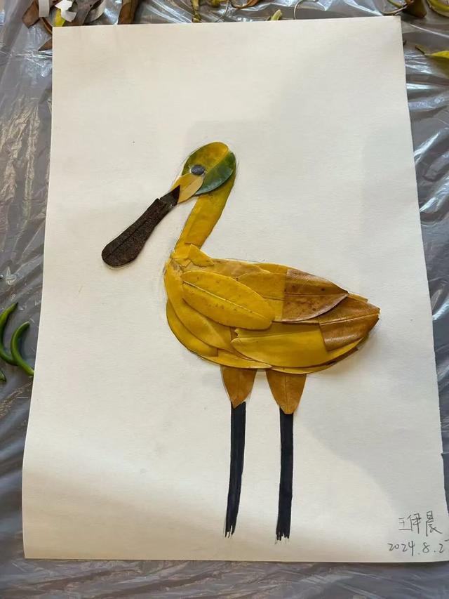 东寨港红树林研学进行时，自然课堂里的欢乐时光～