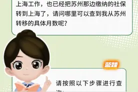 养老保险转入已办好，转移月数哪里查？图片