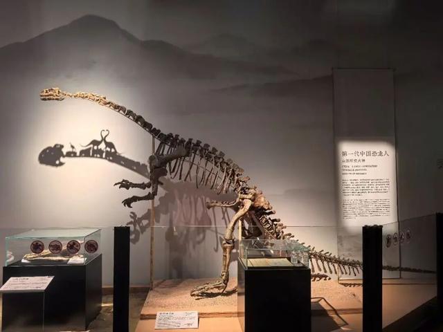 与恐龙共舞的午后：1月16日12点「看东方」直播开启自然博物馆的隐秘叙事！
