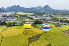 湖南永州：乘坐热气球，赏田园美景图片