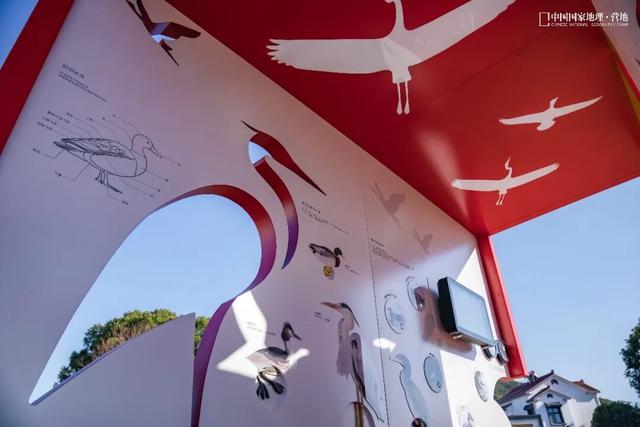 阳山自然驿站矩阵落成，全域科学体验线路启用