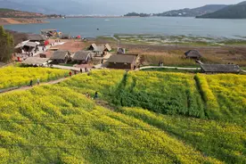 山水变现记！巍山苍鹭谷用绿水青山撬动乡村旅居经济图片