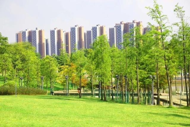 遛娃+吸氧+骑行！黄埔「小洱海」藏不住了！打卡 →