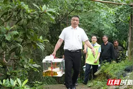 这场“逆风宝贝”的集体生日会暖意融融，幸福满满图片