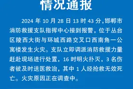 河北邯郸通报一公寓楼发生火灾：1人抢救无效死亡图片