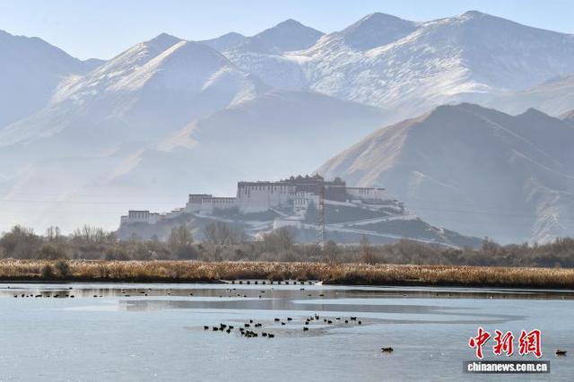 西藏：初冬“拉萨之肺”绘壮美画卷