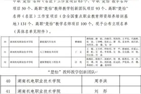 12个项目立项！湖南机电职院“楚怡”师资建设提速图片