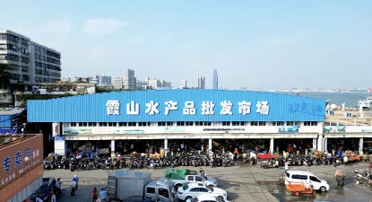 广东湛江海鲜干货批发 2025年广东湛江海鲜干货批发市场地址