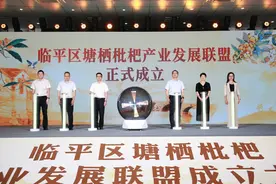 塘栖枇杷产业发展联盟成立 “土特产”绘就乡村振兴新画卷图片