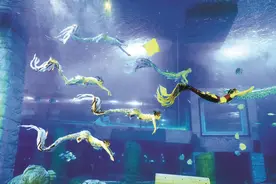 童话照进现实 当美人鱼成为一种职业：光鲜背后 也有不易图片