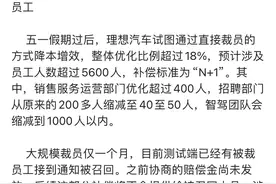 大裁员影响产品测试，部分被裁员工又被召回？理想：暂无回应图片