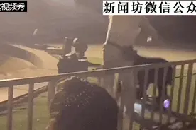 惊险！马戏团黑熊咬住驯兽师！或因观众把这东西掉地上……图片