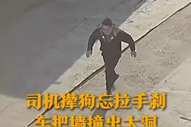司机大哥每次送快递都被狗追 忍无可忍 没拉手刹就下车撵狗 结果溜车把院墙撞出大洞图片