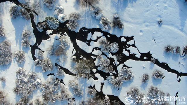 初冬那拉提：雪落成诗，云雾山色演绎中式美学